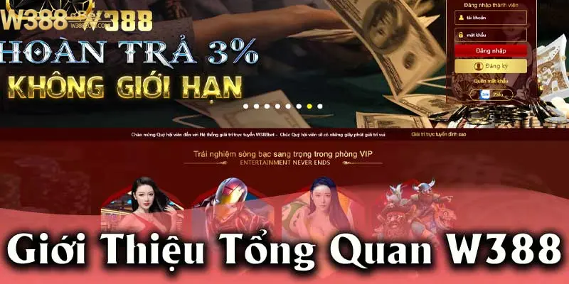 Lý do nên đăng ký W388 tham gia cá cược